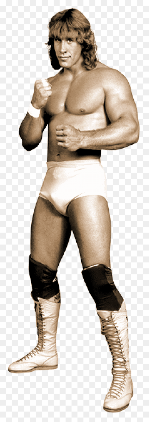 Ric Flair By Dan-Morrow On 