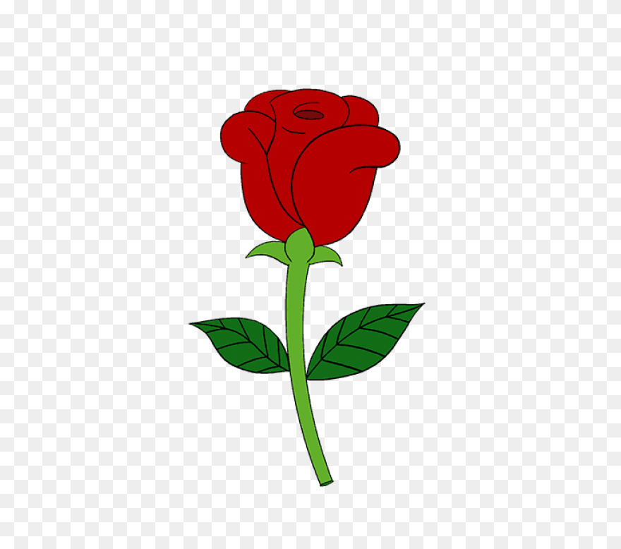 35 Simple Rose Sketch Pictures - Rose Drawing