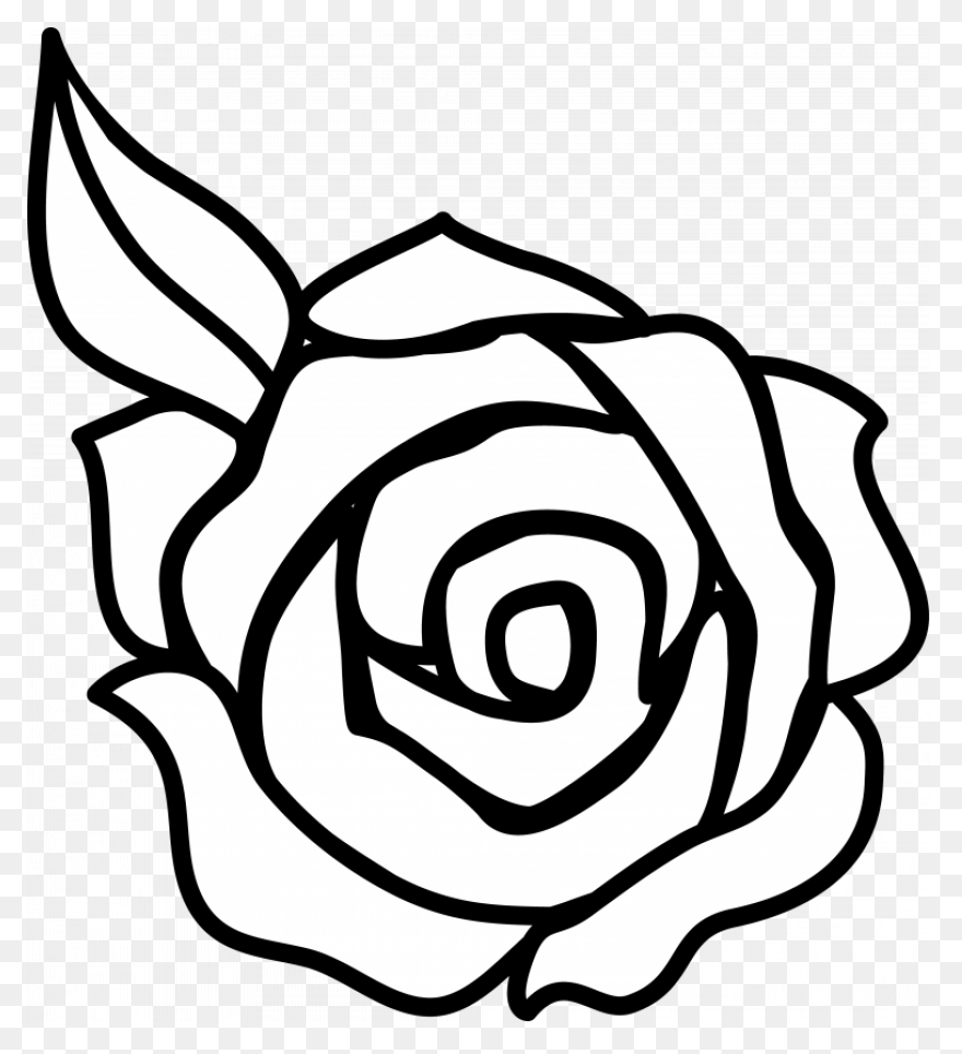 35  Simple Rose Sketch Pictures –
