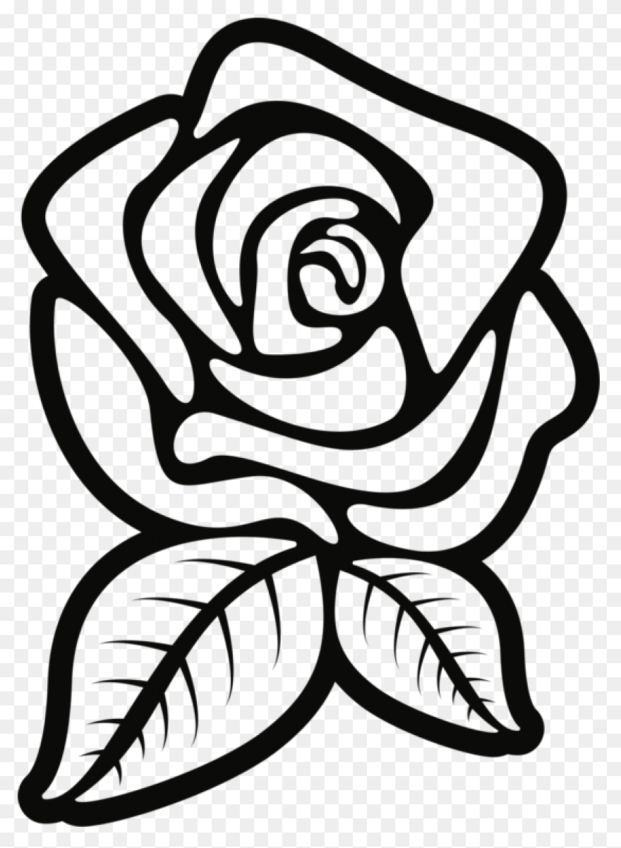 35  Simple Rose Sketch Pictures –