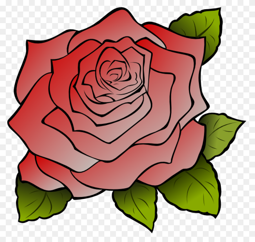 35  Simple Rose Sketch Pictures –