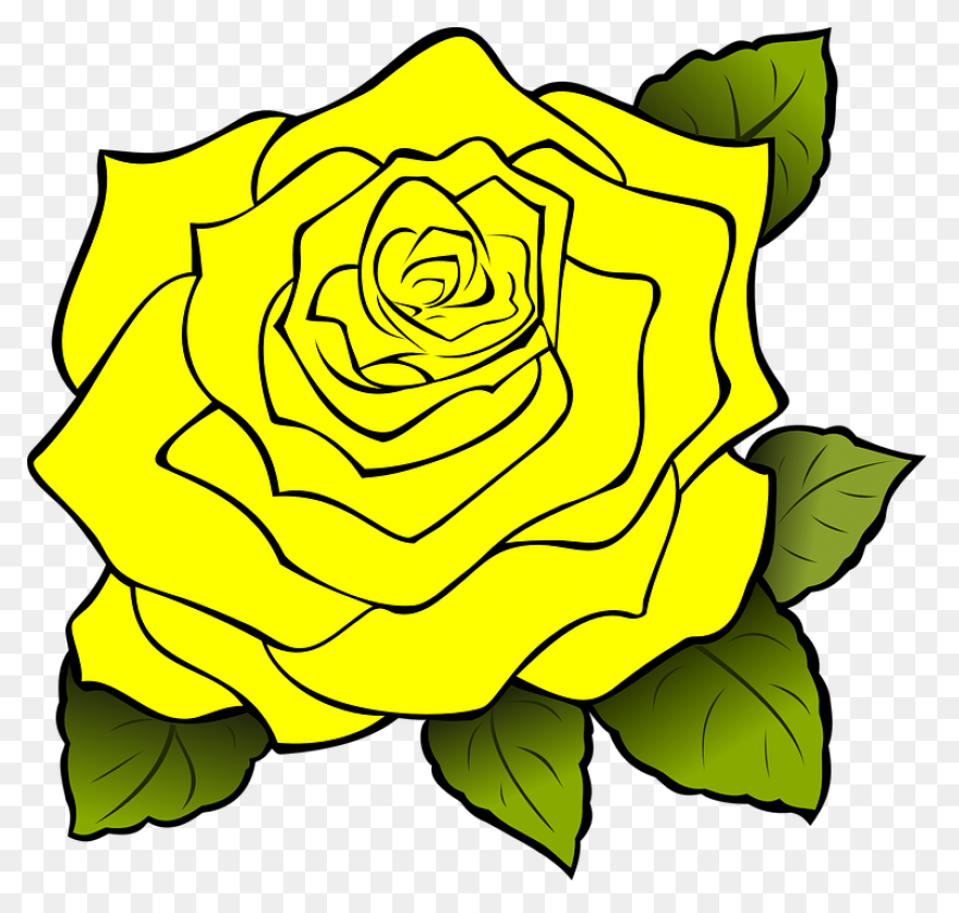35  Simple Rose Sketch Pictures –