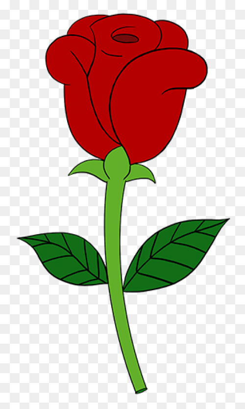 35  Simple Rose Sketch Pictures –