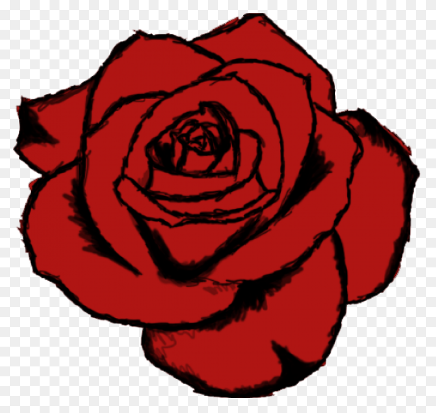 35  Simple Rose Sketch Pictures –