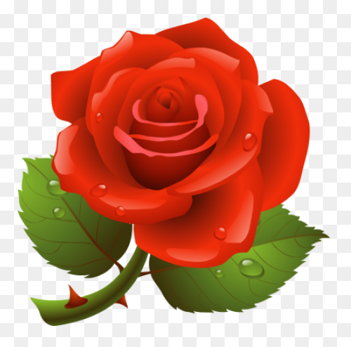 Red Rose Vector Art - Free Clip Art