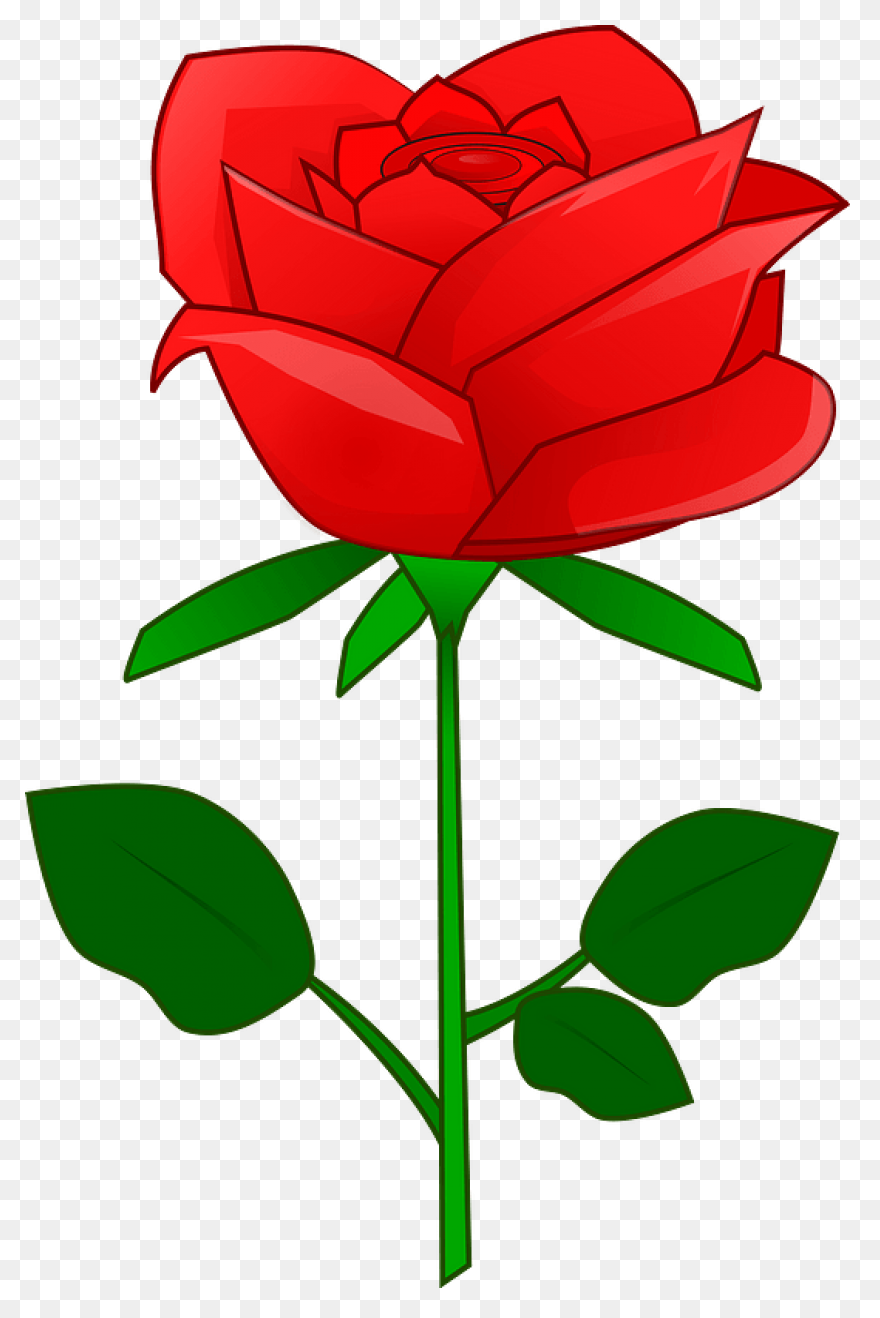 Red Rose Vector Art - Free Clip Art