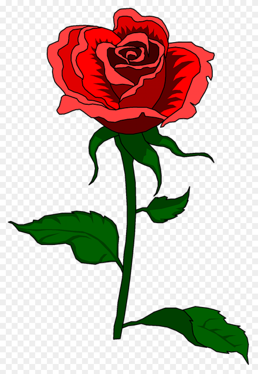 Red Rose Vector Art - Free Clip Art