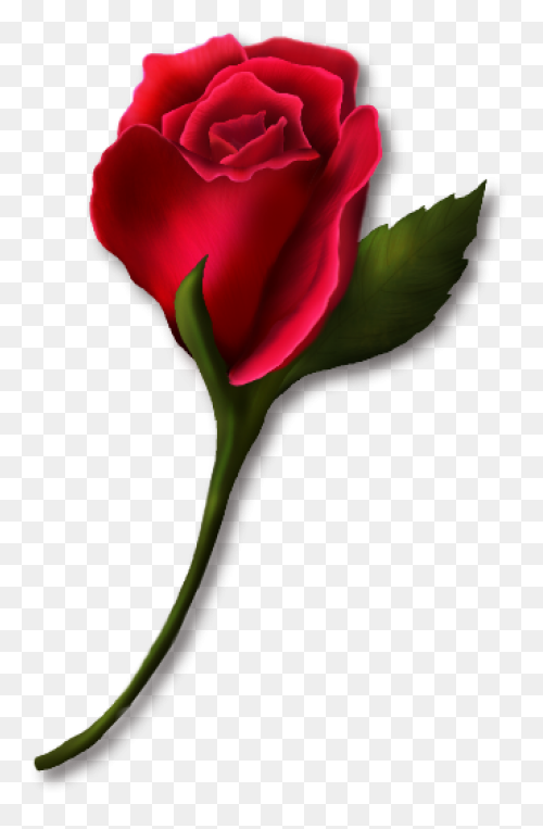 Red Rose Vector Art - Free Clip Art