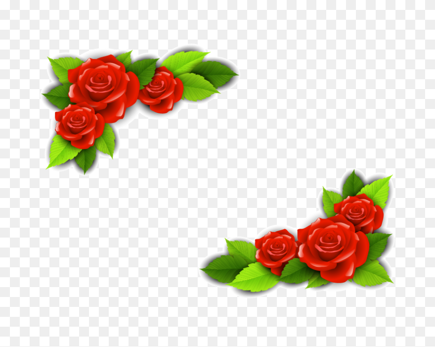 Free Rose Border Design, Download F