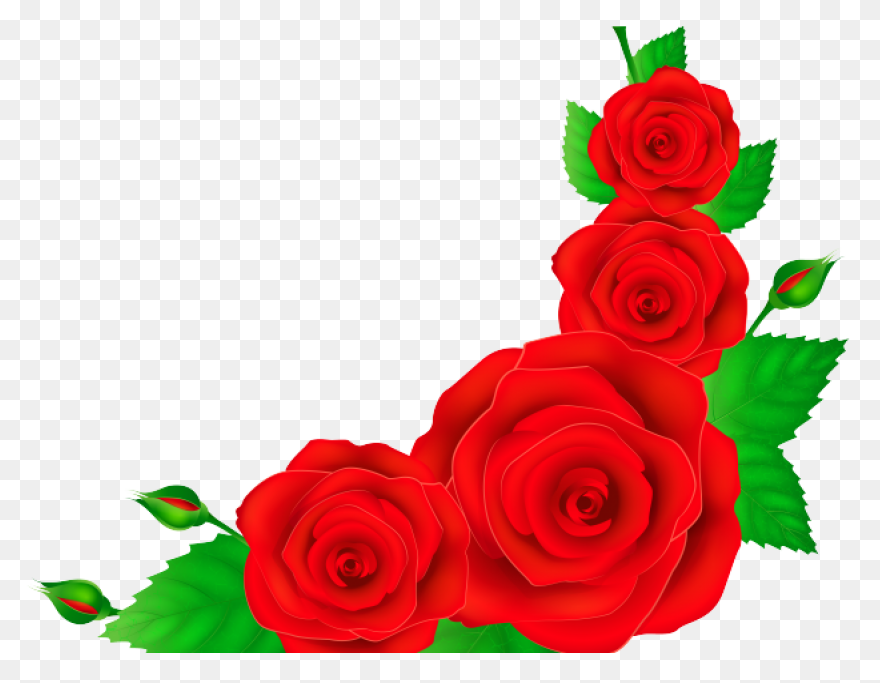 Free Rose Border Design, Download F