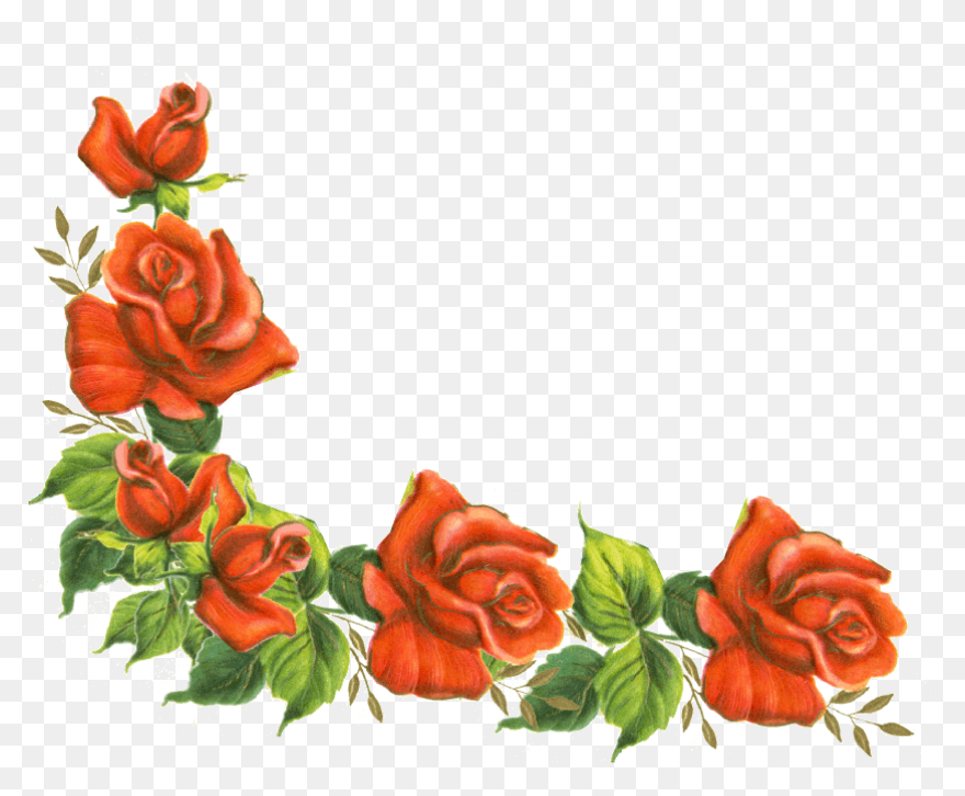 Free Rose Border Design, Download F