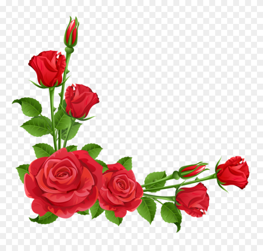 Free Rose Border Design, Download F