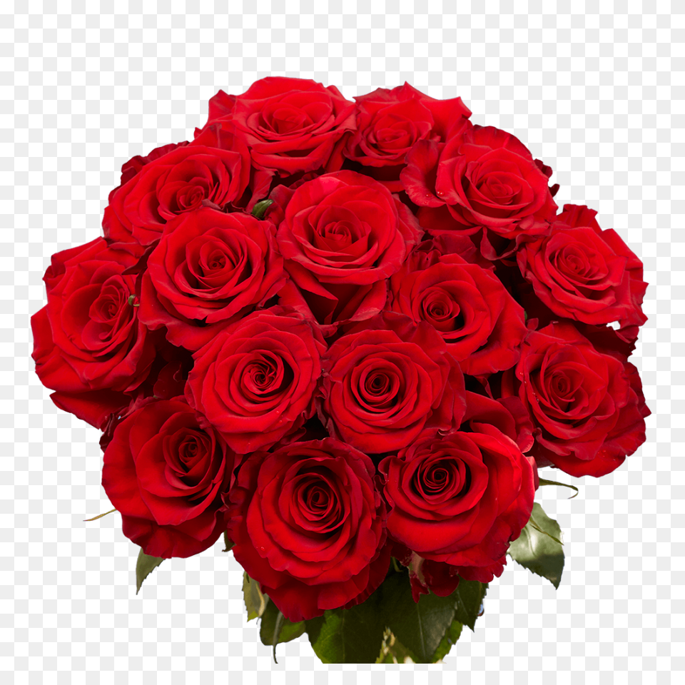 Flower Bouquet Rose Red, White And 