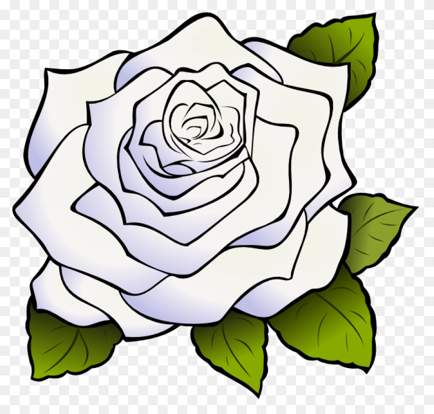 Flower Bouquet Rose Red, White And 