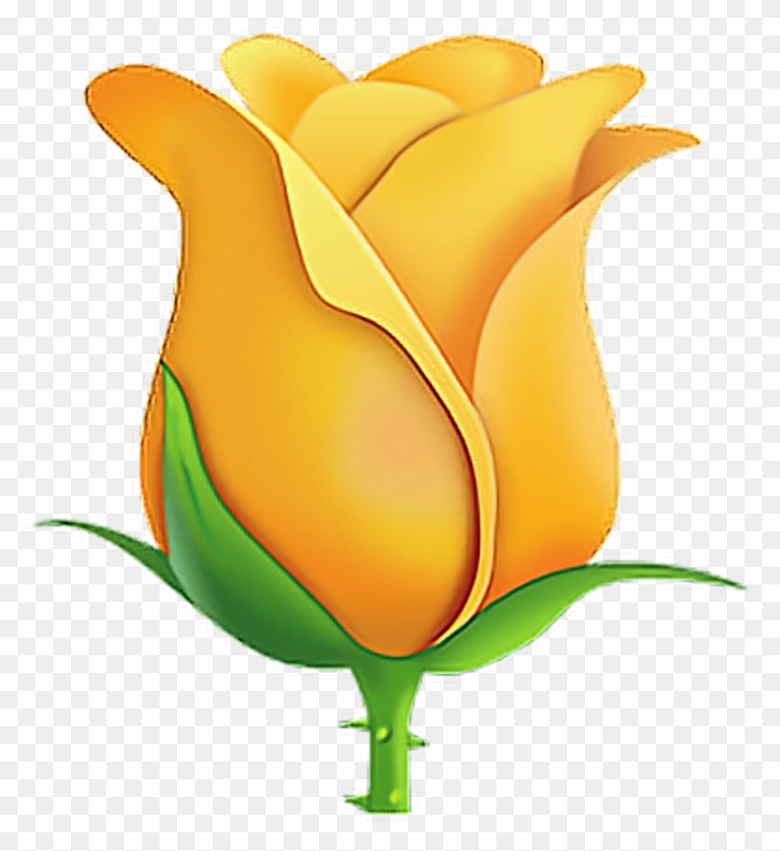 Red,rose,cartoon,clip Art,illustrat