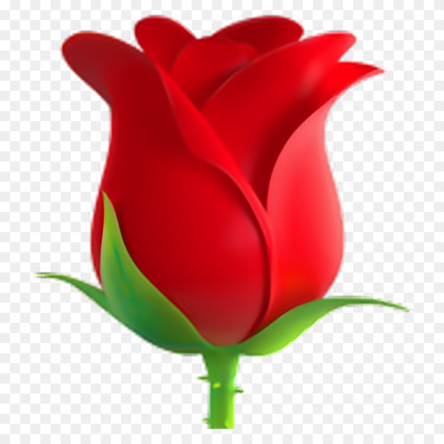 Red,rose,cartoon,clip Art,illustrat