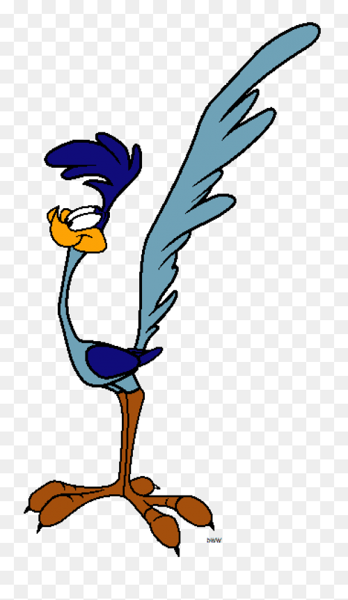 Roadrunner-Support-Help-Number.gif 