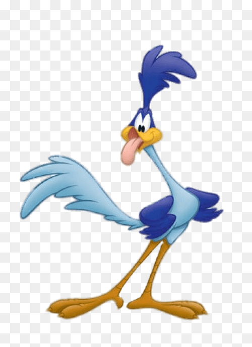 Roadrunner-Support-Help-Number.gif 