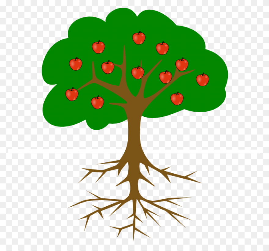 Roots Transparent Png Images - Stic