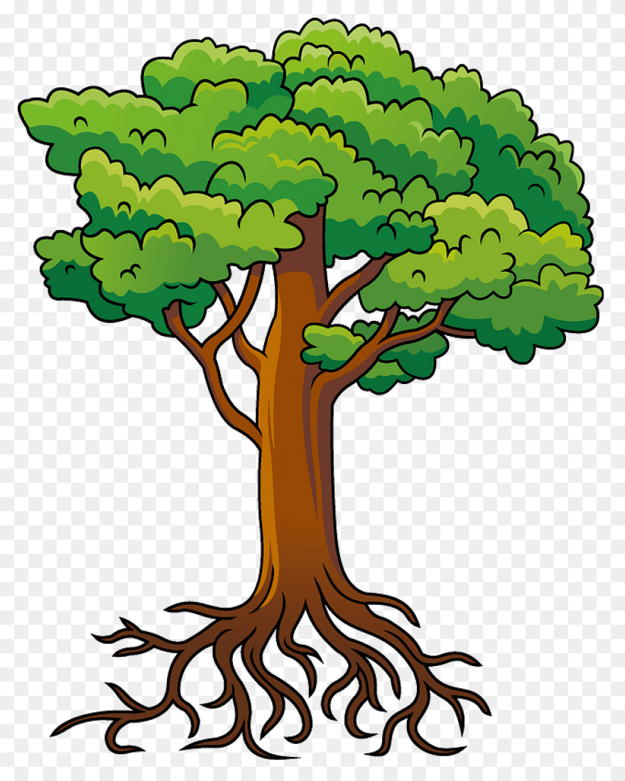 Roots Transparent Png Images - Stic