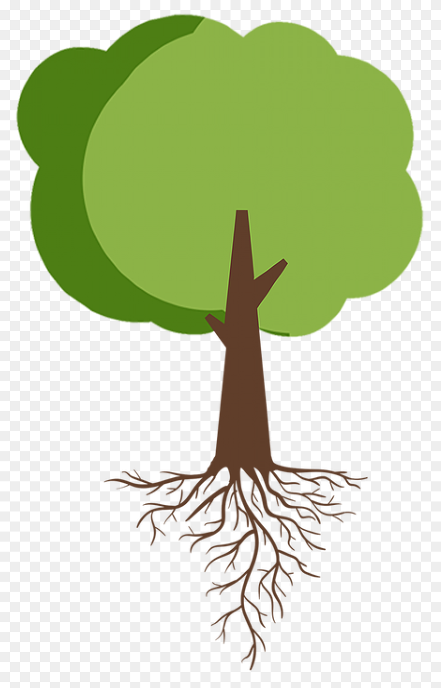Roots Transparent Png Images - Stic