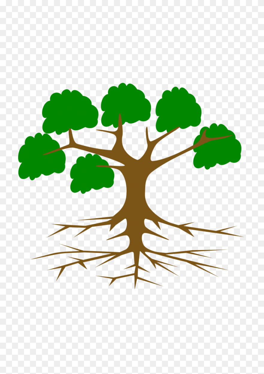 Roots Transparent Png Images - Stic