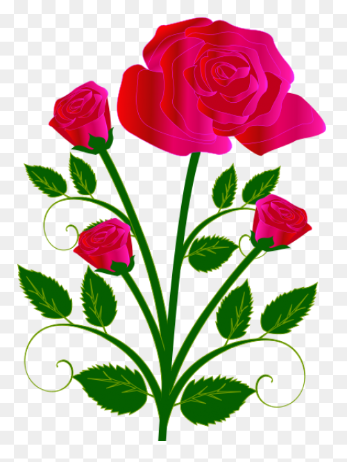 Rose Bush Clipart Drawn Rose - Png 