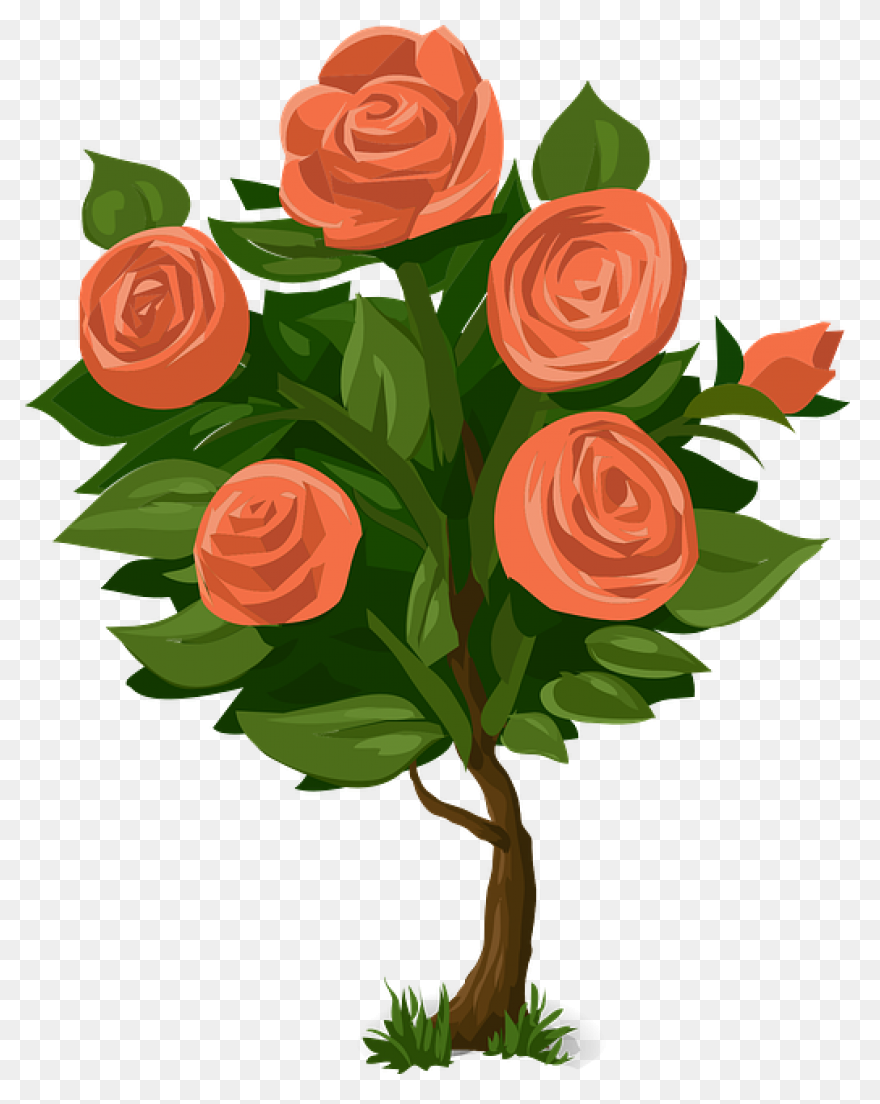 Rose Bush Clipart Drawn Rose - Png 