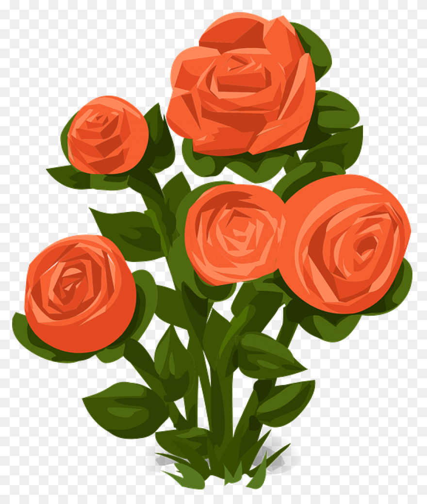 Rose Bush Clipart Drawn Rose - Png 