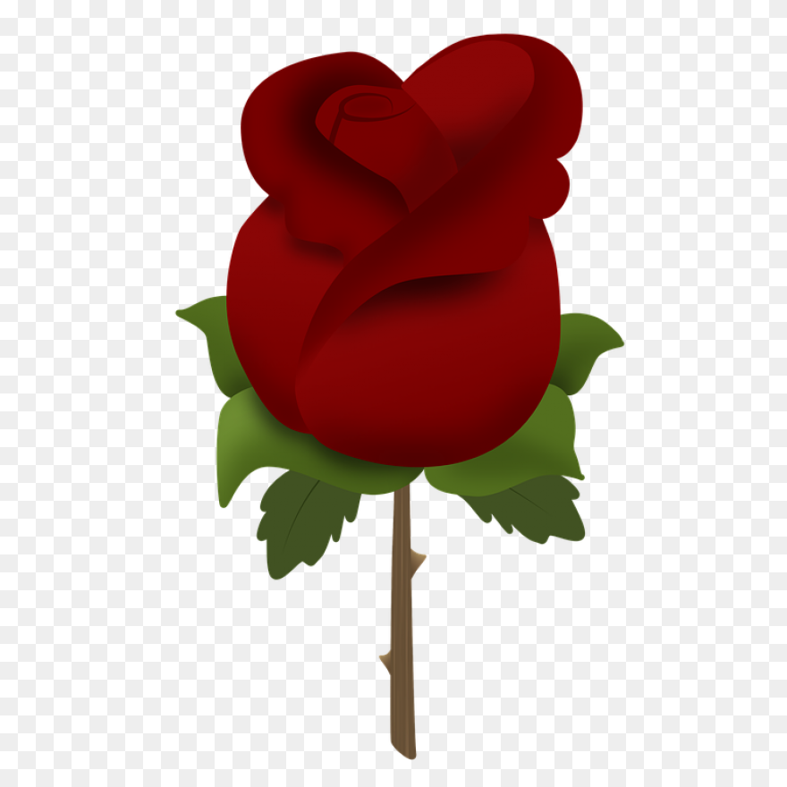 Rose Bush Clipart Drawn Rose - Png 