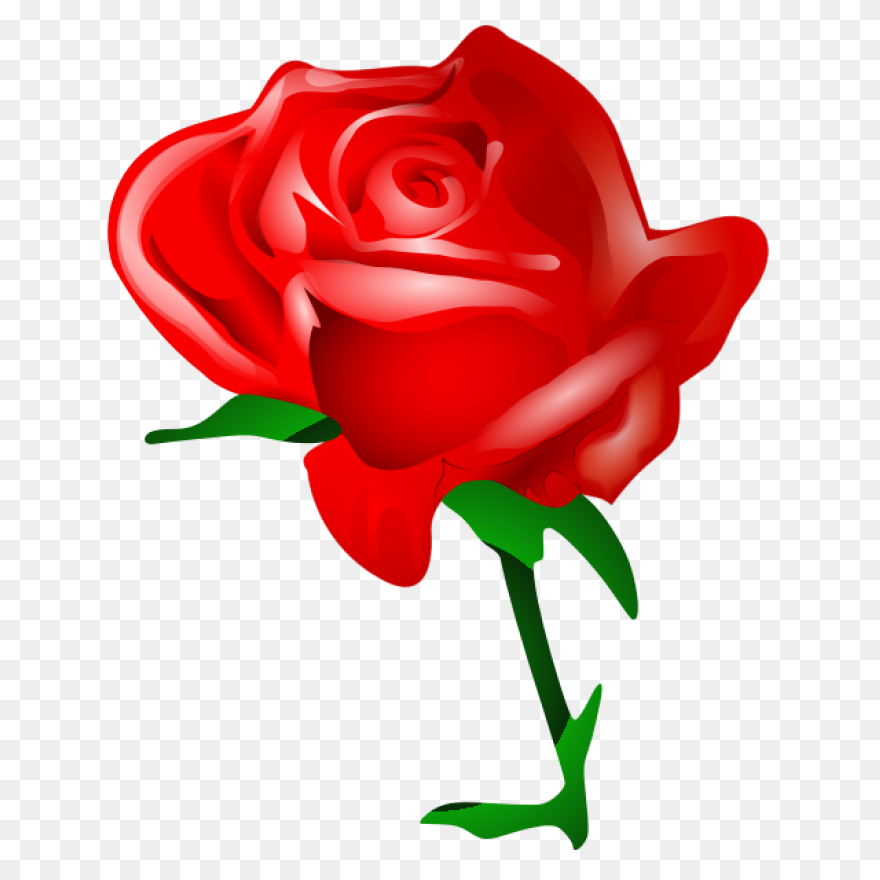 Download Rose Outline Png Clipart C