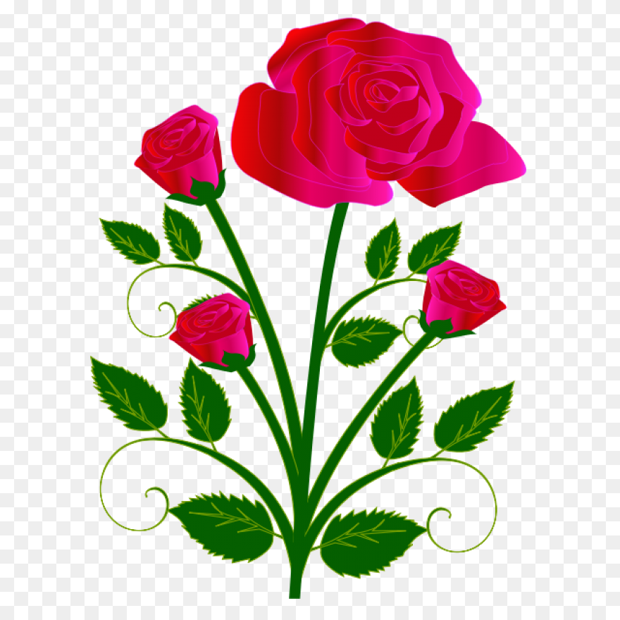 Download Rose Outline Png Clipart C