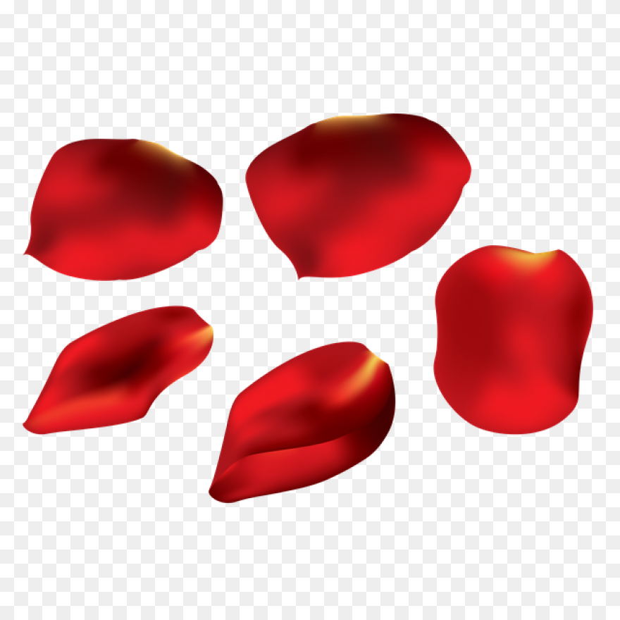 Rose Petals Png Image Hd | Png All