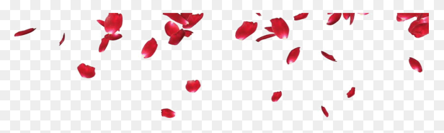 Rose Petals Png Image Hd | Png All