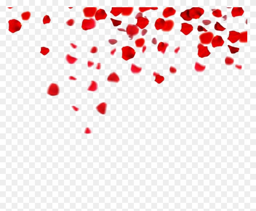 Rose Petals Png Image Hd | Png All