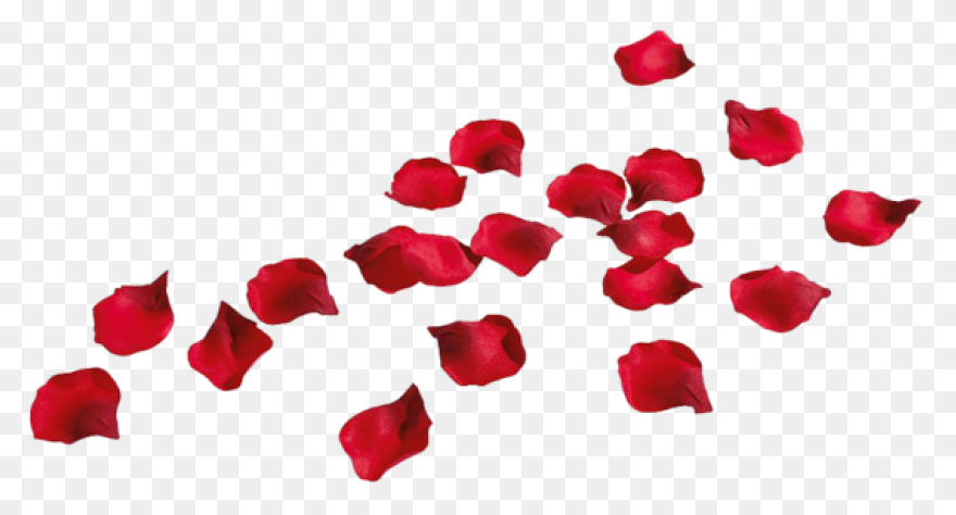 Rose Petals Png Image Hd | Png All