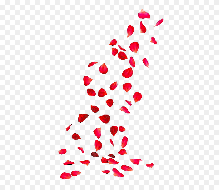 Rose Petals Png Image Hd - Rose Petals