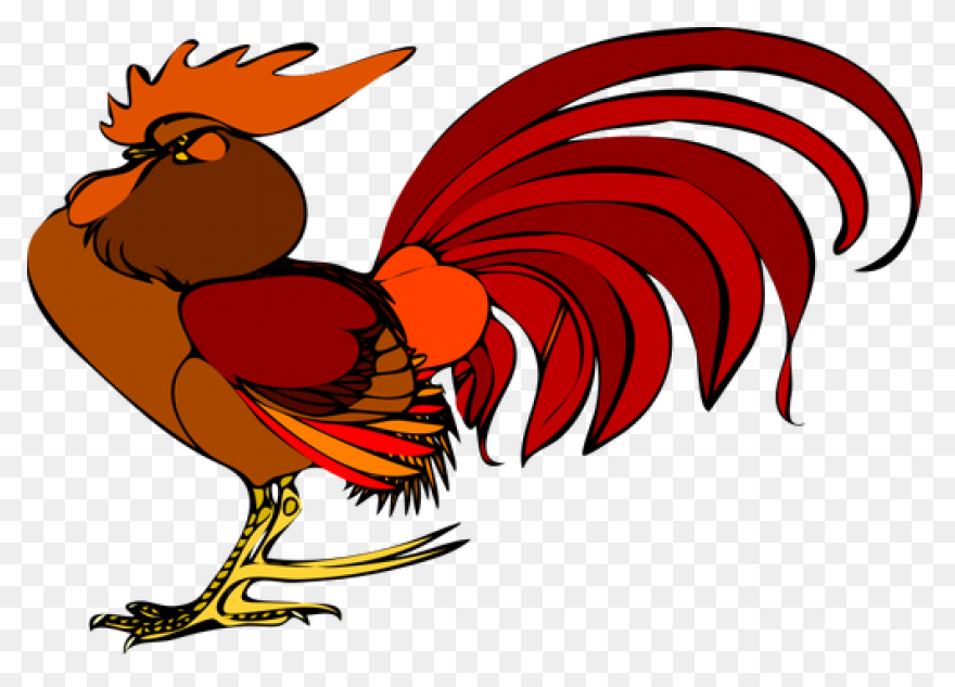 Color Illustration Of A Rooster - Rooster