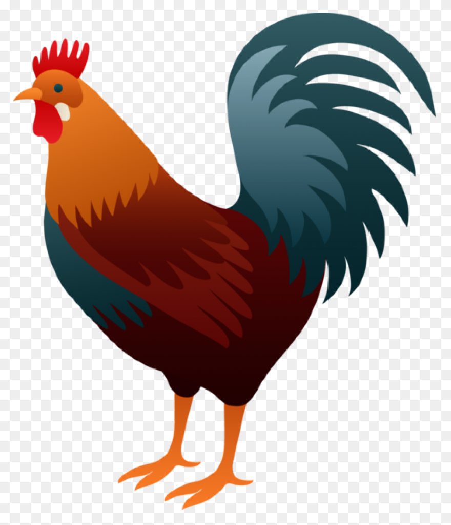 Rooster Clipart. Free Download Tran