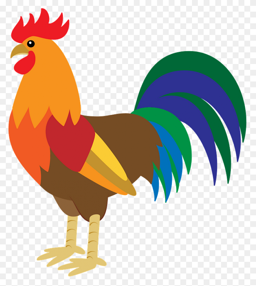 Rooster Clipart. Free Download Tran