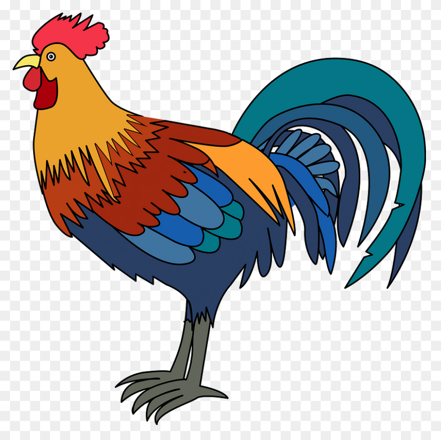 Rooster Clipart. Free Download Tran