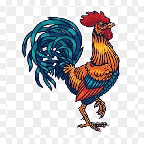 Rooster Clipart. Free Download Tran