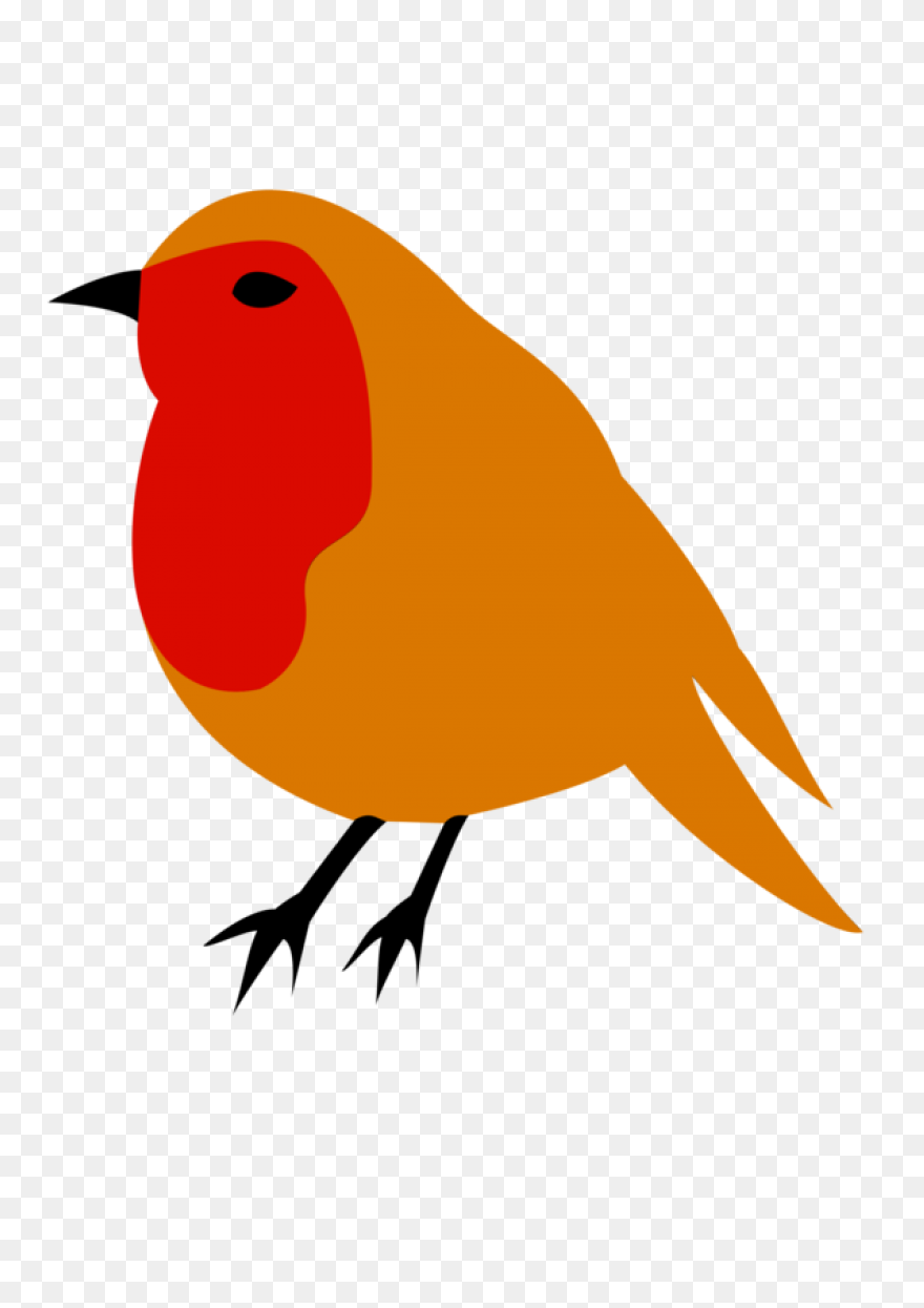 Bird Bird Beak European Robin - Robin