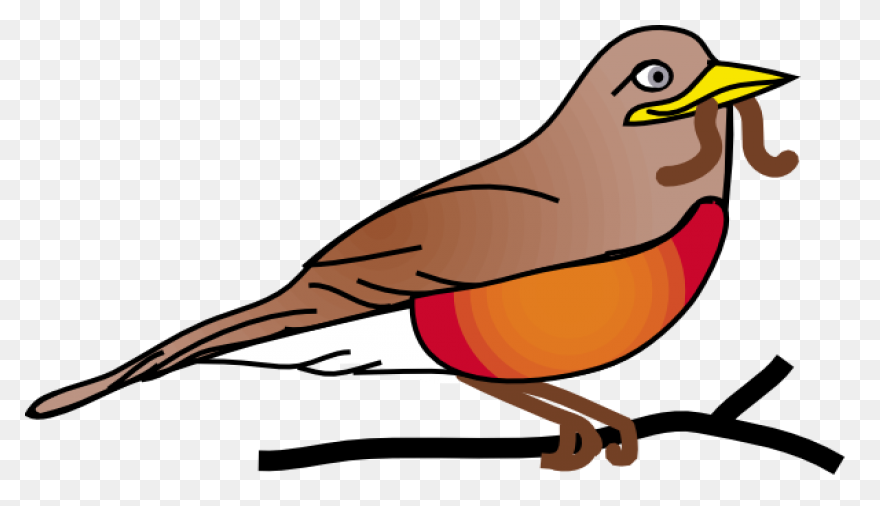 Bird Bird Beak European Robin Clipa
