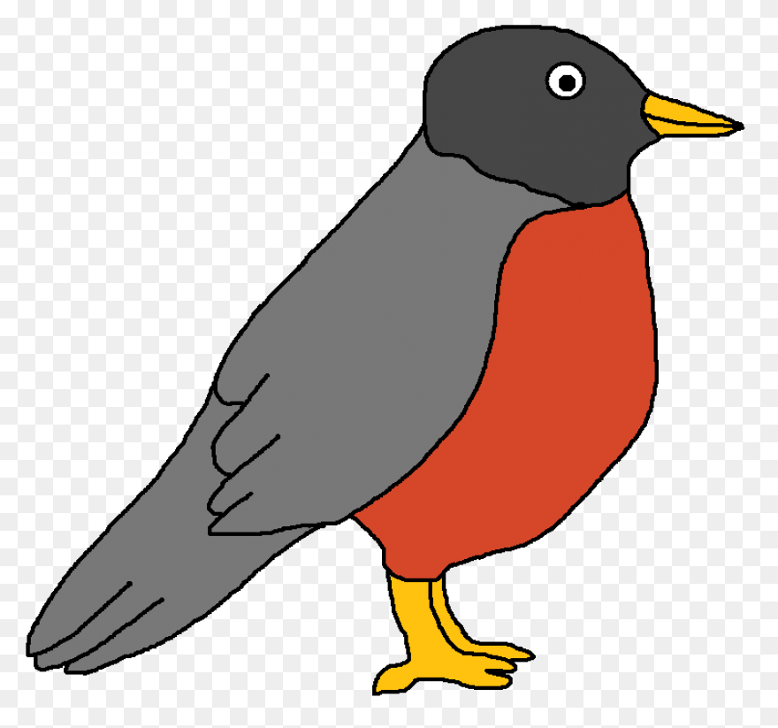 Bird Bird Beak European Robin Clipa