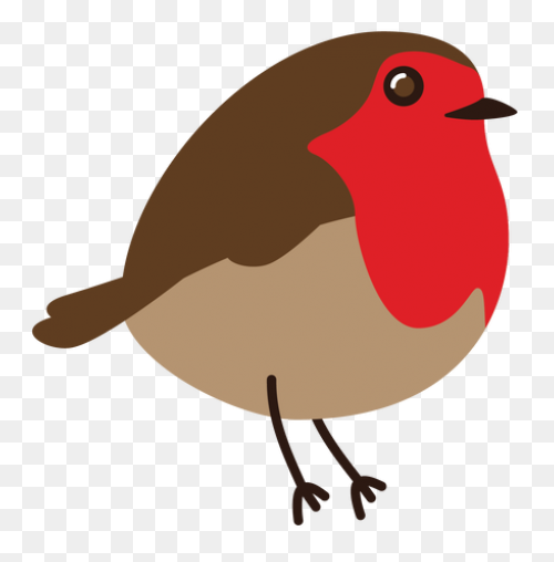 Red Robin European Robin Clipart - Robin