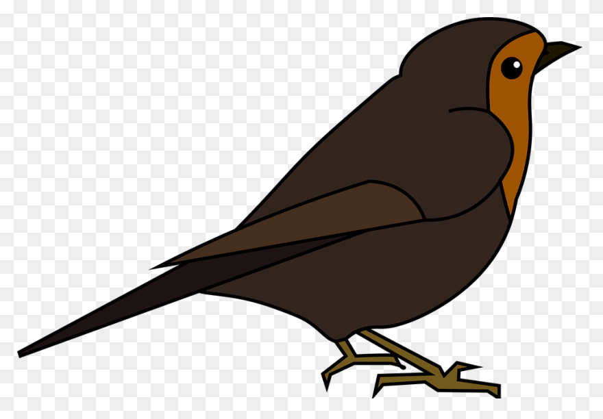 Bird Bird Beak European Robin Clipa
