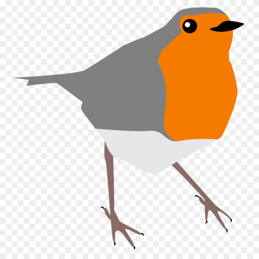 Bird Bird Beak European Robin Clipa