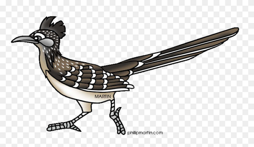 Road Runner | Warner Bros. Entertai