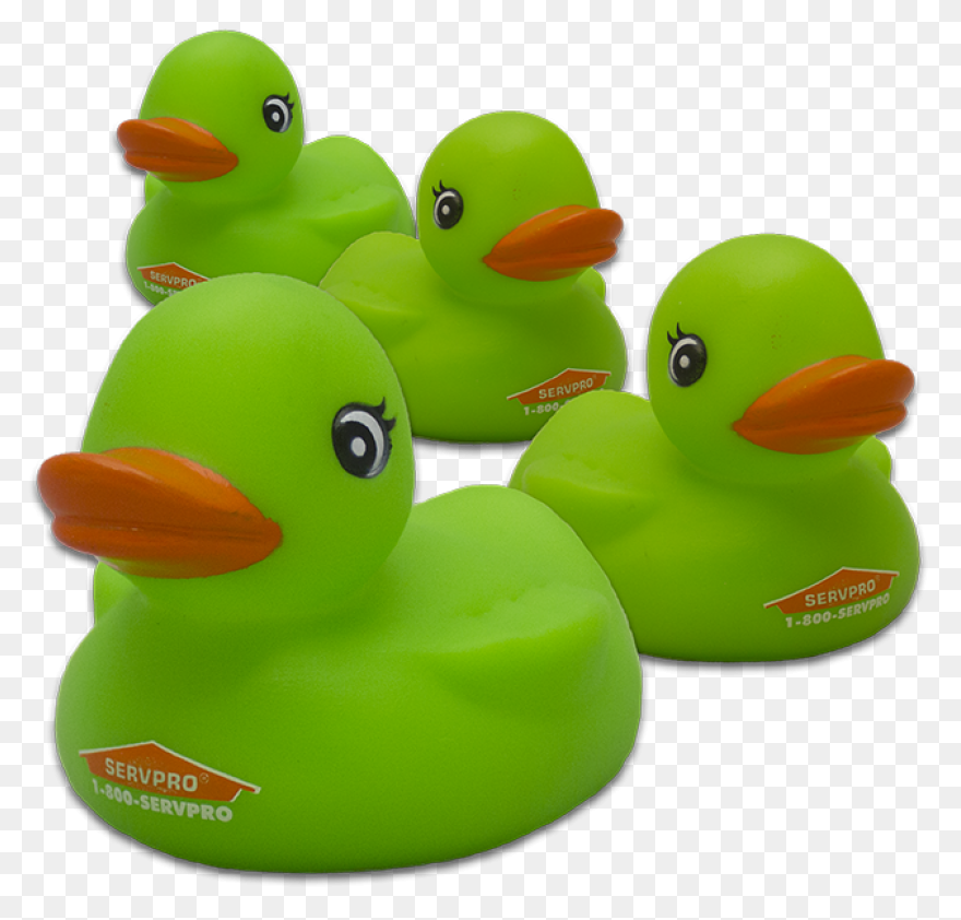 Free Rubber Ducky Image, Download F